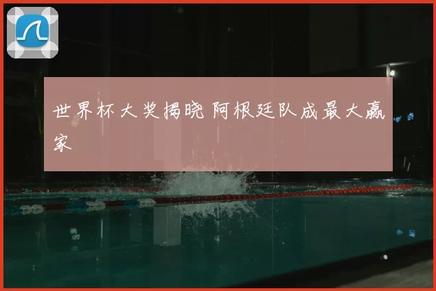 世界杯大奖揭晓 阿根廷队成最大赢家