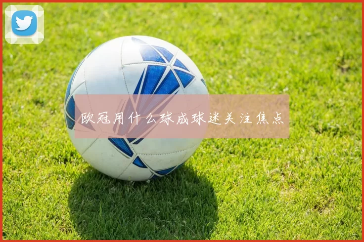 欧冠用什么球成球迷关注焦点