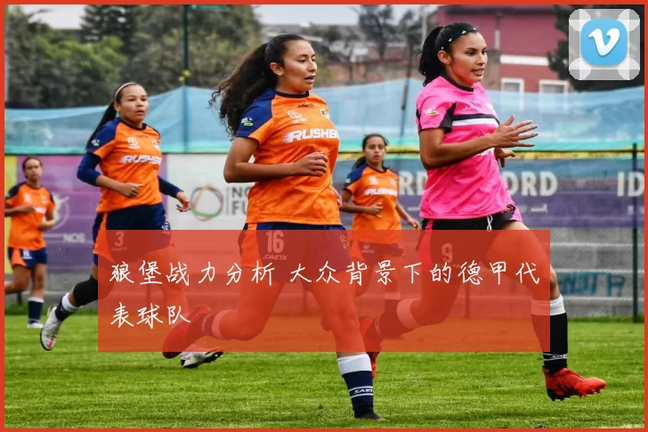 狼堡战力分析 大众背景下的德甲代表球队