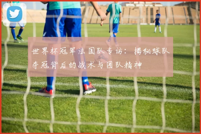 世界杯冠军法国队专访：揭秘球队夺冠背后的战术与团队精神