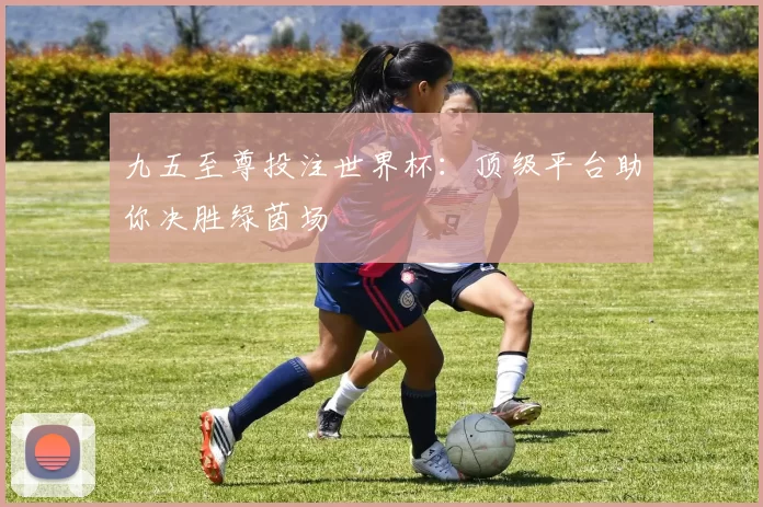 九五至尊投注世界杯:顶级平台助你决胜绿茵场