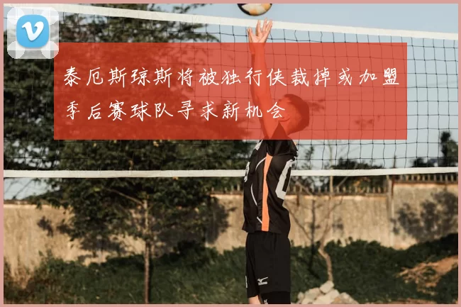 泰厄斯琼斯将被独行侠裁掉或加盟季后赛球队寻求新机会