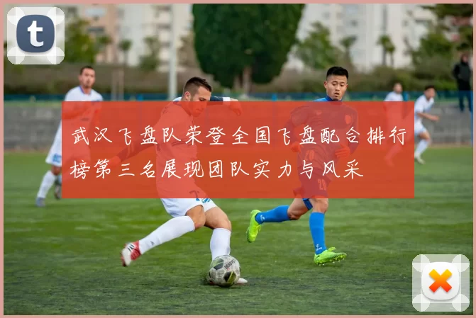 武汉飞盘队荣登全国飞盘配合排行榜第三名展现团队实力与风采