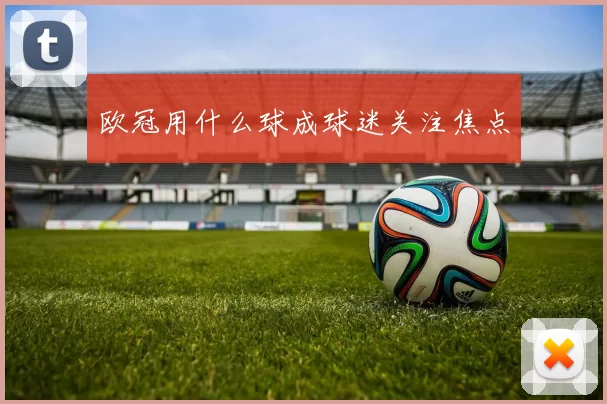 欧冠用什么球成球迷关注焦点