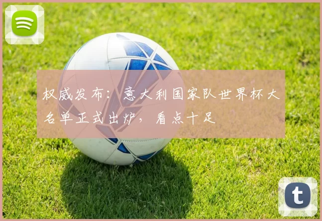 权威发布：意大利国家队世界杯大名单正式出炉，看点十足